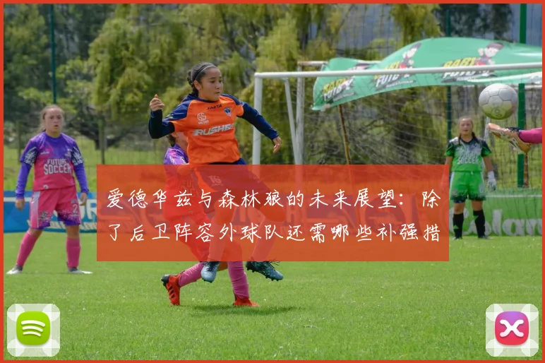 爱德华兹与森林狼的未来展望：除了后卫阵容外球队还需哪些补强措施